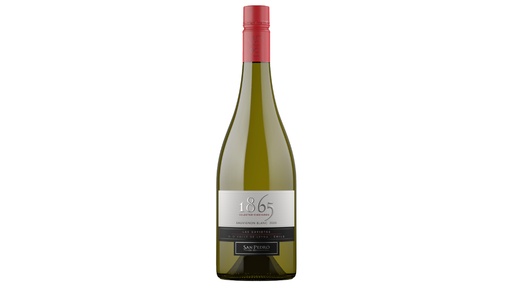 Sauvignion Blanc, 1865 (copy)