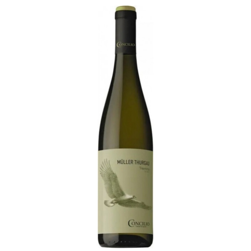 Müller-Thurgau Trentino, Concilio