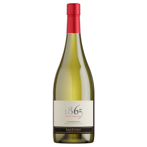 Chardonnay "1865", San Pedro